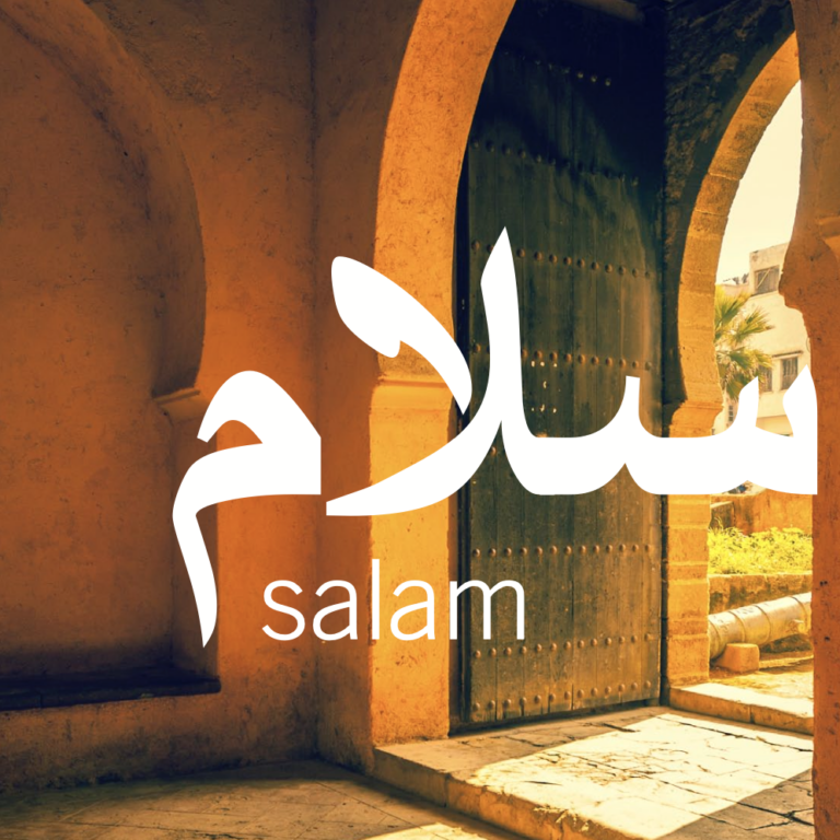 Bildschirmfoto 2024-04-04 um 11.47